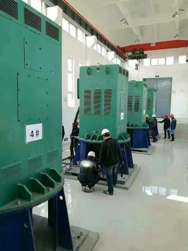 YKS5003-4某污水处理厂使用我厂的立式高压电机安装现场