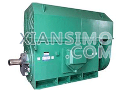 YKS5003-4YXKK(2极)高效高压电机技术参数