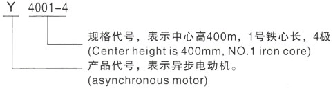 西安泰富西玛Y系列(H355-1000)高压YKS5003-4三相异步电机型号说明