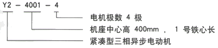 YR系列(H355-1000)高压YKS5003-4三相异步电机西安西玛电机型号说明